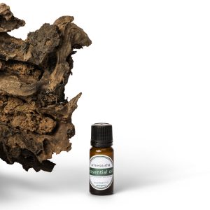 Artemisia Afra Essential Oil