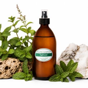 Mentha Longifolia Hydrosol