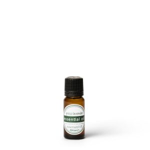 Lavender Essential Oil