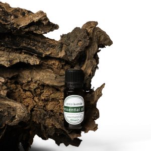 Lavender Essential Oil